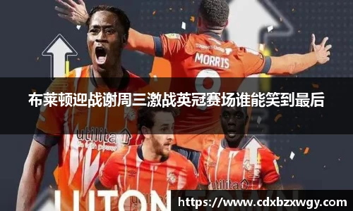 布莱顿迎战谢周三激战英冠赛场谁能笑到最后