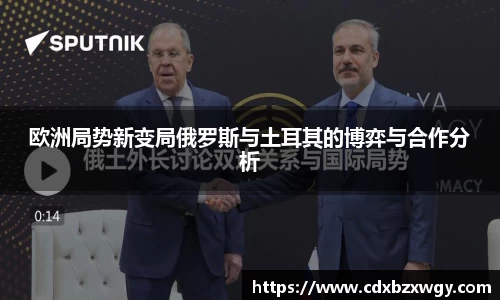 欧洲局势新变局俄罗斯与土耳其的博弈与合作分析