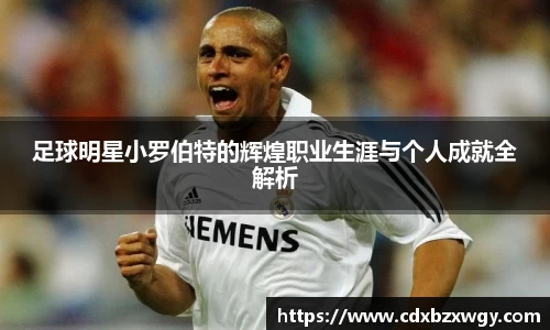 足球明星小罗伯特的辉煌职业生涯与个人成就全解析