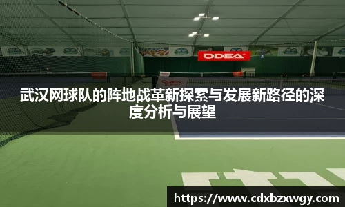 武汉网球队的阵地战革新探索与发展新路径的深度分析与展望