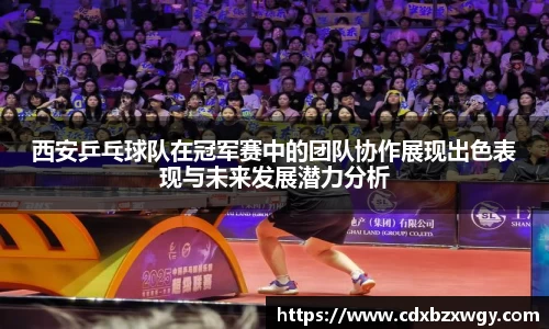 西安乒乓球队在冠军赛中的团队协作展现出色表现与未来发展潜力分析