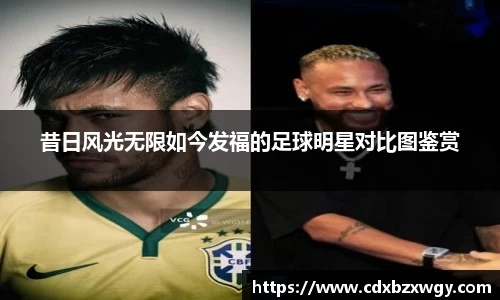 昔日风光无限如今发福的足球明星对比图鉴赏