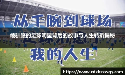 被驯服的足球明星背后的故事与人生转折揭秘