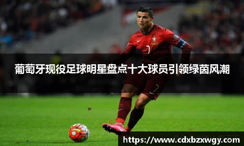 葡萄牙现役足球明星盘点十大球员引领绿茵风潮