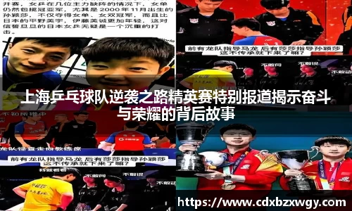 上海乒乓球队逆袭之路精英赛特别报道揭示奋斗与荣耀的背后故事